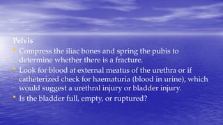 Pelvis
• Compress the iliac bones and spring the pubis to
determine whether there is a fracture.
• Look for blood at external meatus of the urethra or if
catheterized check for haematuria (blood in urine), which
would suggest a urethral injury or bladder injury.
• Is the bladder full, empty, or ruptured?
 