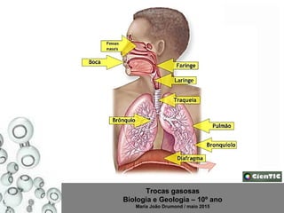 Trocas gasosas
Biologia e Geologia – 10º ano
Maria João Drumond / maio 2015
 