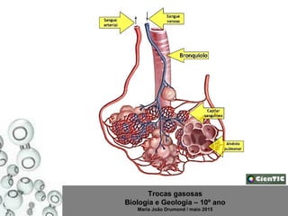 Trocas gasosas
Biologia e Geologia – 10º ano
Maria João Drumond / maio 2015
 