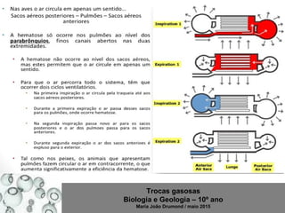 Trocas gasosas
Biologia e Geologia – 10º ano
Maria João Drumond / maio 2015
 