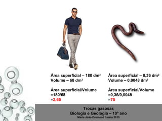 Trocas gasosas
Biologia e Geologia – 10º ano
Maria João Drumond / maio 2015
Área superficial – 180 dm2
Volume – 68 dm3
Área superficial/Volume
=180/68
=2,65
Área superficial – 0,36 dm2
Volume – 0,0048 dm3
Área superficial/Volume
=0,36/0,0048
=75
 