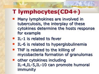 T lymphocytes(CD4+) Many lymphokines are involved in tuberculosis, the interplay of these cytokines determine the hosts response for example IL-1 is related to fever IL-6 is related to hyperglobulinemia TNF is related to the killing of mycobacteria formation of granulomas other cytokines including IL-4,IL-5,IL-10 can promote humoral immunity 