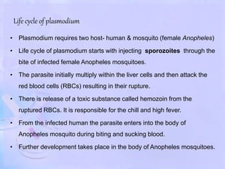 Life cycle of plasmodium
• Plasmodium requires two host- human & mosquito (female Anopheles)
• Life cycle of plasmodium starts with injecting sporozoites through the
bite of infected female Anopheles mosquitoes.
• The parasite initially multiply within the liver cells and then attack the
red blood cells (RBCs) resulting in their rupture.
• There is release of a toxic substance called hemozoin from the
ruptured RBCs. It is responsible for the chill and high fever.
• From the infected human the parasite enters into the body of
Anopheles mosquito during biting and sucking blood.
• Further development takes place in the body of Anopheles mosquitoes.
 