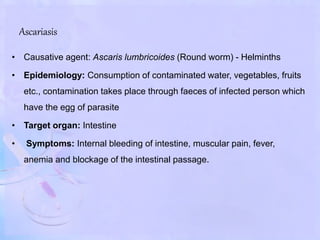 Ascariasis
• Causative agent: Ascaris lumbricoides (Round worm) - Helminths
• Epidemiology: Consumption of contaminated water, vegetables, fruits
etc., contamination takes place through faeces of infected person which
have the egg of parasite
• Target organ: Intestine
• Symptoms: Internal bleeding of intestine, muscular pain, fever,
anemia and blockage of the intestinal passage.
 