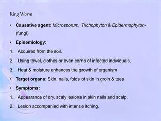 Ring Worm
• Causative agent: Microsporum, Trichophyton & Epidermophyton-
(fungi)
• Epidemiology:
1. Acquired from the soil.
2. Using towel, clothes or even comb of infected individuals.
3. Heat & moisture enhances the growth of organism
• Target organs: Skin, nails, folds of skin in groin & toes
• Symptoms:
1. Appearance of dry, scaly lesions in skin nails and scalp.
2. Lesion accompanied with intense itching.
 