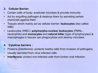 3. Cellular Barrier:
• Certain cells of body- eradicate microbes & provide immunity
• Act by engulfing pathogen & destroys them by secreting certain
chemicals against them
• Tissues which mainly act as cellular barrier- leukocytes also called
WBC
• Leukocytes (WBC)- polymorpho-nuclear leukocytes (PMNL-
neutrophils) and monocytes and natural killer (type of lymphocytes) &
macrophages in tissues can phagocytose and destroy microbes.
4. Cytokine barriers :
• Proteins (interferons)- protects heathy cells from invasion of pathogens
• Usually secreted from virus infected cells
• Interferons- protect non-infected cells from further viral infection.
 