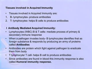 Tissues involved in Acquired Immunity
• Tissues involved in Acquired Immunity are:
1. B- lymphocytes- produce antibodies
2. T- lymphocytes- helps B cells to produce antibodies
I Antibody Mediated Acquired Immunity:
• Lymphocytes (WBC) B & T cells- mediate process of primary &
secondary immune response
• When a pathogen invades body- B lymphocytes identifies that as
foreign substance & responds by producing an army of proteins
called Antibodies
• Antibodies are protein which fight against pathogen to eradicate
them from body
• T lymphocyte/ T cell- helps B cell to produce antibodies
• Since antibodies are found in blood this immunity response is also
called Humoral immunity response.
 