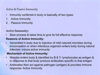 Active & Passive Immunity
• Immunity conferred in body is basically of two types:
1. Active Immunity
2. Passive Immunity
Active Immunity:
• Slow process & takes time to give its full effective response
Reasons of Active Immunity:
• Generated in body due to injection of mild natured microbes during
immunization or when infectious organism enters body during natural
infection- induce active immunity
Mechanism of Active Immunity:
• Microbe enters body & identified by B & T- lymphocytes as antigen &
in response to that body produce antibodies specific to that antigen
• Antibodies then act against pathogen (antigen) & provides immune
response- Active Immunity
 