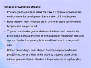 Function of Lymphoid Organs:
• Primary lymphoid organs Bone marrow & Thymus- provide micro-
environments for development & maturation of T lymphocytes
• Bone marrow- main lymphoid organ where all blood cells including
lymphocytes are produced.
• Thymus is a lobed organ located near the heart and beneath the
breastbone. Large at the time of birth but keeps reducing in size with
age and by the time puberty is attained it reduces to a very small
size
• Spleen (secondary)- bean shaped & contains lymphocytes and
phagocytes. Act as a filter of the blood by trapping blood-borne
microorganisms. Spleen also has a large reservoir of erythrocytes
 