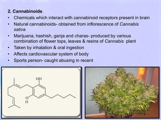 2. Cannabinoids
• Chemicals which interact with cannabinoid receptors present in brain
• Natural cannabinoids- obtained from inflorescence of Cannabis
sativa
• Marijuana, hashish, ganja and charas- produced by various
combination of flower tops, leaves & resins of Cannabis plant
• Taken by inhalation & oral ingestion
• Affects cardiovascular system of body
• Sports person- caught abusing in recent
 