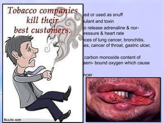5. Tobacco
• Tobacco is usually chewed or smoked or used as snuff
• It contains nicotine, which is a stimulant and toxin
• Nicotine- stimulates adrenal gland to release adrenaline & nor-
adrenaline which increases blood pressure & heart rate
• Smoking of tobacco increases chances of lung cancer, bronchitis,
emphysema, coronary heart diseases, cancer of throat, gastric ulcer,
cancer of urinary bladder etc.
• Smoking of tobacco also increases carbon monoxide content of
blood & reduces concentration of haem- bound oxygen which cause
oxygen deficiency in the body
• Chewing of tobacco causes oral cancer
 