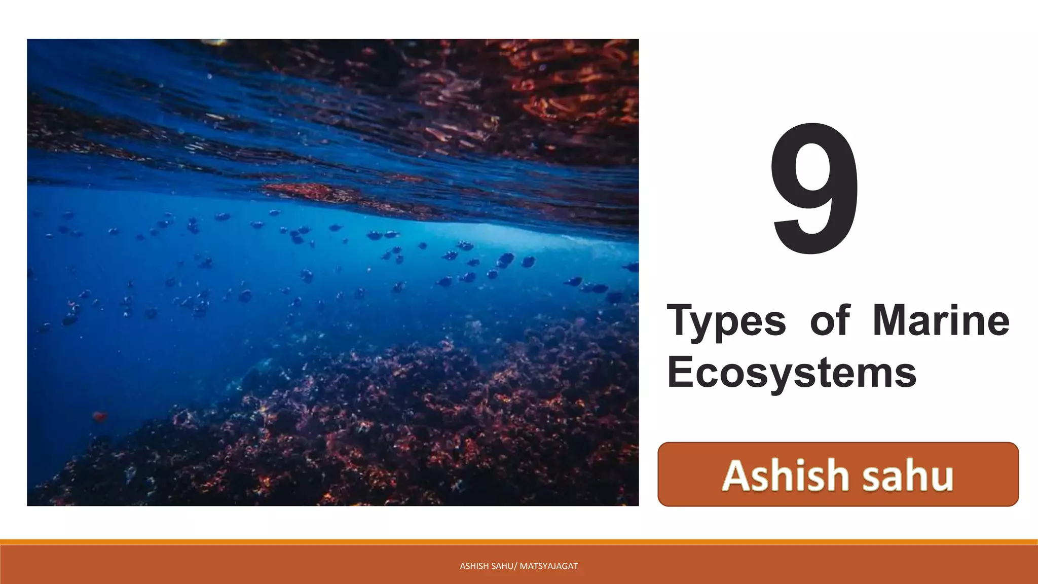 9 types of marine ecosystem