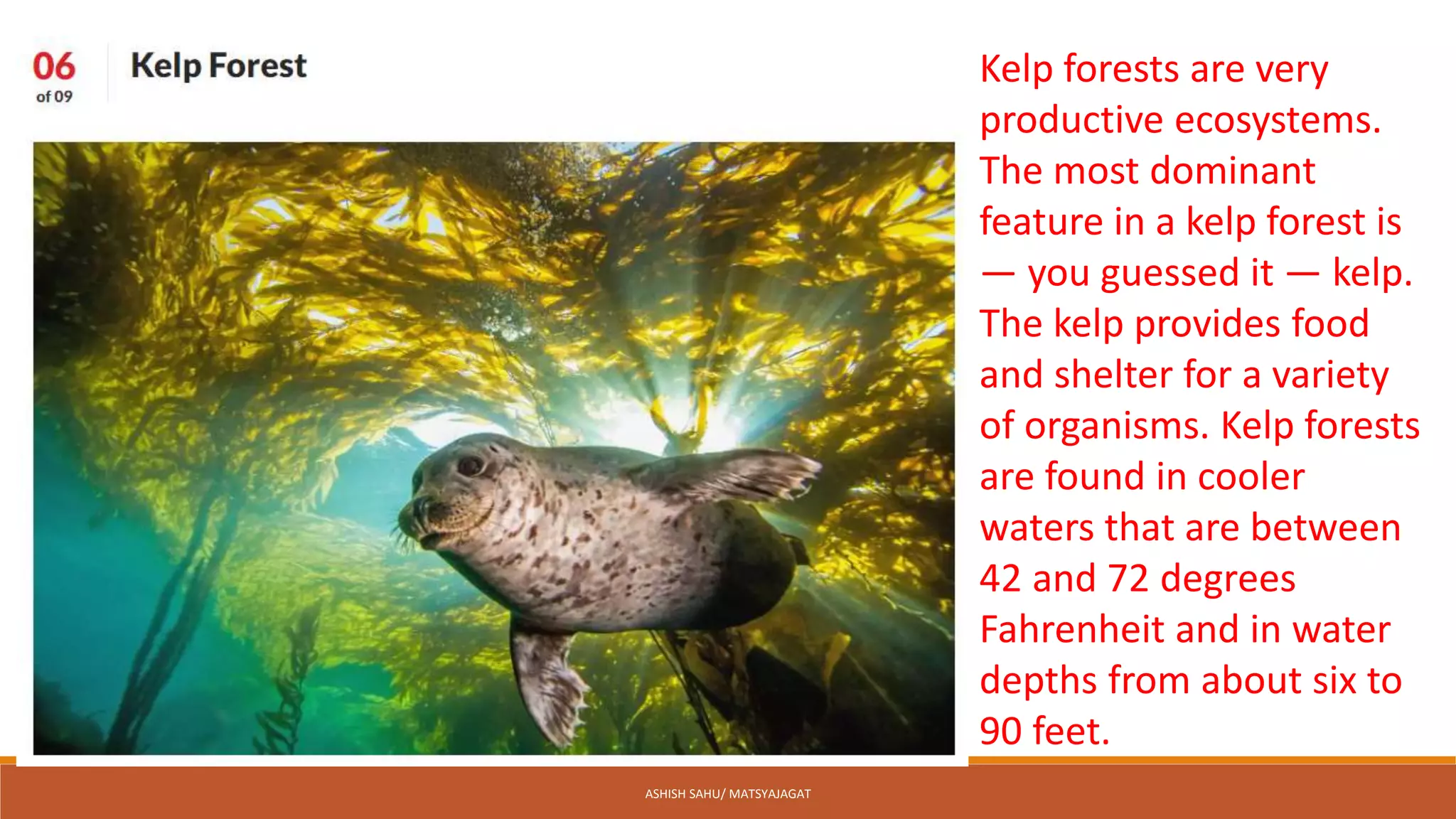 9 types of marine ecosystem