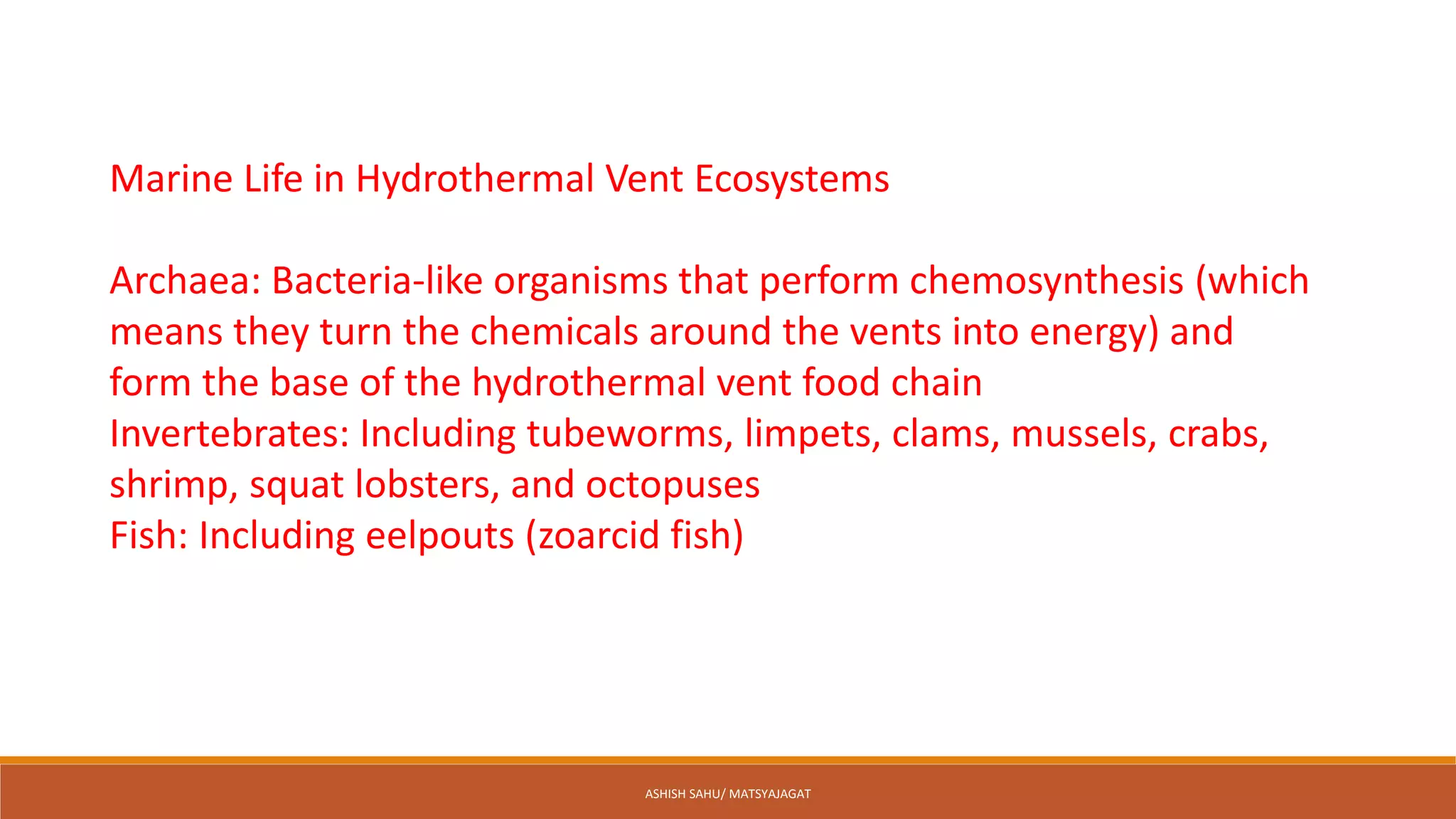 9 types of marine ecosystem