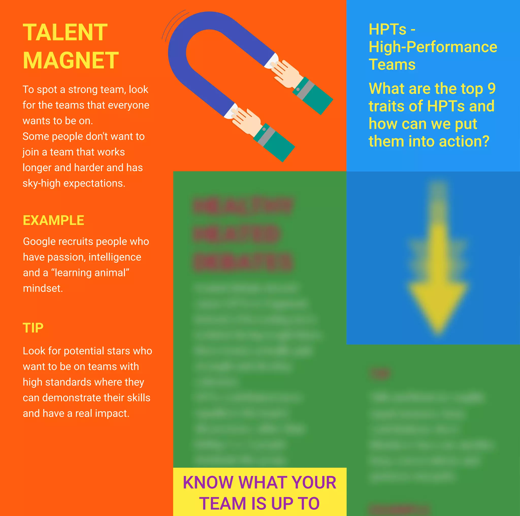 To spot a strong team, look
for the teams that everyone
wants to be on.
Some people don't want to
join a team that works
longer and harder and has
sky-high expectations.
TALENT
MAGNET
Look for potential stars who
want to be on teams with
high standards where they
can demonstrate their skills
and have a real impact.
Google recruits people who
have passion, intelligence
and a “learning animal”
mindset.
EXAMPLE
TIP
HPTs -
High-Performance
Teams
What are the top 9
traits of HPTs and
how can we put
them into action?
 