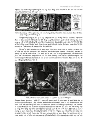 Giôùi thieäu moân hoïc Giaûi phaãu beänh 3
maëc duø caùc moâ taû veà giaûi phaãu ngöôøi cuûa oâng chöùa ñöïng nhieàu sai laàm do döïa chuû yeáu vaøo caùc
cuoäc phaãu tích treân heo, deâ, vöôïn, voi.
Hình 6: Galen ñang moå heo; giaûng daïy moân sinh; höôùng daãn thuït thaùo beänh nhaân; Saùch cuûa Galen ñaõ ñöôïc
duøng trong suoát thôøi kyø trung coå.
Trong thôøi kyø trung coå (theá kyû V-XV), y hoïc vaø trieát hoïc thöôøng troän laãn vôùi nhau. Vieäc chaån
ñoaùn vaø ñieàu trò beänh khoâng coù thay ñoåi ñaùng keå, phaãu tích treân ngöôøi vaãn bò caám kî; tuy nhieân
cuõng coù moät soá tieán boä caàn phaûi ghi nhaän nhö vieäc thaønh laäp caùc beänh vieän töø theá kyû IV, khôûi ñaàu
taïi Syri roài lan roäng khaép Ñeá quoác Byzantin; söï ra ñôøi cuûa caùc tröôøng ñaïi hoïc y khoa töø theá kyû XII,
baét ñaàu taïi YÙ vaø sau ñoù laø Taây ban nha, Anh vaø Phaùp.
Ñeán theá kyû XVI, baét ñaàu thôøi kyø phuïc höng, hoaït ñoäng ngheä thuaät vaø nghieân cöùu khoa hoïc
keå caû y hoïc hoài sinh maïnh meõ. Moät ngöôøi Haø lan teân Andreas Vesalius (1514-1564), sau khi toát
nghieäp Ñaïi hoïc Y khoa Padua YÙ, ñaõ ñöôïc giöõ laïi laøm Giaùo sö veà giaûi phaãu hoïc. Sau nhieàu naêm
phaãu tích tæ mæ xaùc cheát, oâng cho xuaát baûn vaøo naêm 1543 boä saùch “Veà caáu taïo cô theå ngöôøi” (De
humani corporis fabrica); trong ñoù ñaõ söûa laïi caùc sai laàm cuûa Galen. Vesalius ñöôïc xem laø cha ñeû
cuûa moân giaûi phaãu hoïc. (Hình 7)
Hình 7: Andreas Vesalius, taùc giaû cuûa boä saùch “Veà caáu taïo cô theå ngöôøi”
Giovani Batista Morgagni (1685-1771), moät thaày thuoác ngöôøi YÙ, ñöôïc xem laø ngöôøi khai sinh ra
moân hoïc giaûi phaãu beänh. Toång keát kinh nghieäm moät ñôøi laøm vieäc, naêm 79 tuoåi, oâng cho xuaát baûn
cuoán saùch “Veà vò trí vaø nguyeân nhaân cuûa beänh taät, nghieân cöùu baèng giaûi phaãu hoïc” (De sedibus,
et causis Morborum per anatomen indagatis) trong ñoù trình baøy keát quaû phaãu tích 700 tröôøng hôïp
töû vong. Theo oâng, moïi beänh taät laø beänh lyù cuûa cô quan; ôû moãi beänh nhaân, beänh seõ coù vò trí ôû
nhöõng cô quan khaùc nhau. OÂng ñaõ phaân tích tæ mæ moái lieân heä giöõa caùc trieäu chöùng laâm saøng cuûa
töøng beänh nhaân vôùi toån thöông ñaïi theå quan saùt ñöôïc treân cô quan. Ñaây thöïc söï laø moät tieán boä
trong nghieân cöùu veà beänh taät, nhöng do söï hieåu bieát veà sinh lyù hoïc thôøi ñoù coøn nhieàu haïn cheá neân
 