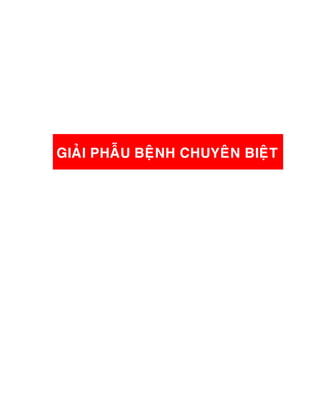 GIAÛI PHAÃU BEÄNH CHUYEÂN BIEÄT
 