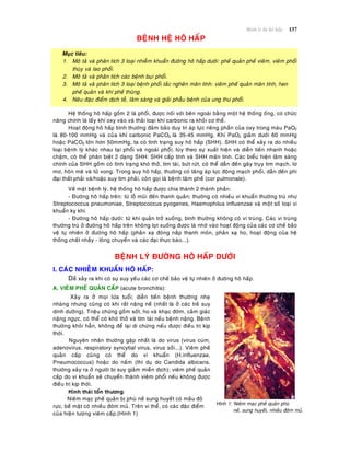 Beänh lyù heä hoâ haáp 137
BEÄNH HEÄ HOÂ HAÁP
Muïc tieâu:
1. Moâ taû vaø phaân tích 3 loaïi nhieãm khuaån ñöôøng hoâ haáp döôùi: pheá quaûn pheá vieâm, vieâm phoåi
thuøy vaø lao phoåi.
2. Moâ taû vaø phaân tích caùc beänh buïi phoåi.
3. Moâ taû vaø phaân tích 3 loaïi beänh phoåi taéc ngheõn maõn tính: vieâm pheá quaûn maõn tính, hen
pheá quaûn vaø khí pheá thuõng.
4. Neâu ñaëc ñieåm dòch teã, laâm saøng vaø giaûi phaãu beänh cuûa ung thö phoåi.
Heä thoáng hoâ haáp goàm 2 laù phoåi, ñöôïc noái vôùi beân ngoaøi baèng moät heä thoáng oáng, coù chöùc
naêng chính laø laáy khí oxy vaøo vaø thaûi loaïi khí carbonic ra khoûi cô theå.
Hoaït ñoäng hoâ haáp bình thöôøng ñaûm baûo duy trì aùp löïc rieâng phaàn cuûa oxy trong maùu PaO2
laø 80-100 mmHg vaø cuûa khí carbonic PaCO2 laø 35-45 mmHg. Khi PaO2 giaûm döôùi 60 mmHg
hoaëc PaCO2 lôùn hôn 50mmHg, ta coù tình traïng suy hoâ haáp (SHH). SHH coù theå xaûy ra do nhieàu
loaïi beänh lyù khaùc nhau taïi phoåi vaø ngoaøi phoåi; tuøy theo söï xuaát hieän vaø dieãn tieán nhanh hoaëc
chaäm, coù theå phaân bieät 2 daïng SHH: SHH caáp tính vaø SHH maõn tính. Caùc bieåu hieän laâm saøng
chính cuûa SHH goàm coù tình traïng khoù thôû, tím taùi, böùt röùt, coù theå daãn ñeán gaây truïy tim maïch, lô
mô, hoân meâ vaø töû vong. Trong suy hoâ haáp, thöôøng coù taêng aùp löïc ñoäng maïch phoåi, daãn ñeán phì
ñaïi thaát phaûi vaø/hoaëc suy tim phaûi, coøn goïi laø beänh taâm pheá (cor pulmonale).
Veà maët beänh lyù, heä thoáng hoâ haáp ñöôïc chia thaønh 2 thaønh phaàn:
- Ñöôøng hoâ haáp treân: töø loã muõi ñeán thanh quaûn; thöôøng coù nhieàu vi khuaån thöôøng truù nhö
Streptococcus pneumoniae, Streptococcus pyogenes, Haemophilus influenzae vaø moät soá loaïi vi
khuaån kî khí.
- Ñöôøng hoâ haáp döôùi: töø khí quaûn trôû xuoáng, bình thöôøng khoâng coù vi truøng. Caùc vi truøng
thöôøng truù ôû ñöôøng hoâ haáp treân khoâng loït xuoáng ñöôïc laø nhôø vaøo hoaït ñoäng cuûa caùc cô cheá baûo
veä töï nhieân ôû ñöôøng hoâ haáp (phaûn xaï ñoùng naép thanh moân, phaûn xaï ho, hoaït ñoäng cuûa heä
thoáng chaát nhaày - loâng chuyeån vaø caùc ñaïi thöïc baøo...).
BEÄNH LYÙ ÑÖÔØNG HOÂ HAÁP DÖÔÙI
I. CAÙC NHIEÃM KHUAÅN HOÂ HAÁP:
Deã xaûy ra khi coù söï suy yeáu caùc cô cheá baûo veä töï nhieân ôû ñöôøng hoâ haáp.
A. VIEÂM PHEÁ QUAÛN CAÁP (acute bronchitis):
Xaûy ra ôû moïi löùa tuoåi; dieãn tieán beänh thöôøng nheï
nhaøng nhöng cuõng coù khi raát naëng neà (nhaát laø ôû caùc treû suy
dinh döôõng). Trieäu chöùng goàm soát, ho vaø khaïc ñôøm, caûm giaùc
naëng ngöïc, coù theå coù khoù thôû vaø tím taùi neáu beänh naëng. Beänh
thöôøng khoûi haún, khoâng ñeå laïi di chöùng neáu ñöôïc ñieàu trò kòp
thôøi.
Nguyeân nhaân thöôøng gaëp nhaát laø do virus (virus cuùm,
adenovirus, respiratory syncytial virus, virus sôûi...). Vieâm pheá
quaûn caáp cuõng coù theå do vi khuaån (H.influenzae,
Pneumococcus) hoaëc do naám (thí duï do Candida albicans,
thöôøng xaûy ra ôû ngöôøi bò suy giaûm mieãn dòch); vieâm pheá quaûn
caáp do vi khuaån seõ chuyeån thaønh vieâm phoåi neáu khoâng ñöôïc
ñieàu trò kòp thôøi.
Hình thaùi toån thöông:
Nieâm maïc pheá quaûn bò phuø neà sung huyeát coù maàu ñoû
röïc, beà maët coù nhieàu ñôøm muû. Treân vi theå, coù caùc ñaëc ñieåm
cuûa hieän töôïng vieâm caáp.(Hình 1)
Hình 1: Nieâm maïc pheá quaûn phuø
neà, sung huyeát, nhieàu ñôøm muû.
 