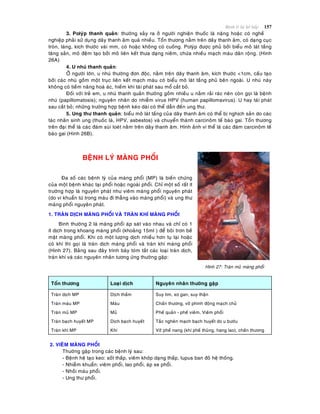 Beänh lyù heä hoâ haáp 157
3. Polyùp thanh quaûn: thöôøng xaûy ra ôû ngöôøi nghieän thuoác laø naëng hoaëc coù ngheà
nghieäp phaûi söû duïng daây thanh aâm quaù nhieàu. Toån thöông naèm treân daây thanh aâm, coù daïng cuïc
troøn, laùng, kích thöôùc vaøi mm, coù hoaëc khoâng coù cuoáng. Polyùp ñöôïc phuû bôûi bieåu moâ laùt taàng
taêng saûn, moâ ñeäm taïo bôûi moâ lieân keát thöa daïng nieâm, chöùa nhieàu maïch maùu daõn roäng. (Hình
26A)
4. U nhuù thanh quaûn:
ÔÛ ngöôøi lôùn, u nhuù thöôøng ñôn ñoäc, naèm treân daây thanh aâm, kích thöôùc <1cm, caáu taïo
bôûi caùc nhuù goàm moät truïc lieân keát maïch maùu coù bieåu moâ laùt taàng phuû beân ngoaøi. U nhuù naøy
khoâng coù tieàm naêng hoaù aùc, hieám khi taùi phaùt sau moå caét boû.
Ñoái vôùi treû em, u nhuù thanh quaûn thöôøng goàm nhieàu u naèm raûi raùc neân coøn goïi laø beänh
nhuù (papillomatosis); nguyeân nhaân do nhieãm virus HPV (human papillomavirus). U hay taùi phaùt
sau caét boû; nhöõng tröôøng hôïp beänh keùo daøi coù theå daãn ñeán ung thö.
5. Ung thö thanh quaûn: bieåu moâ laùt taàng cuûa daây thanh aâm coù theå bò nghòch saûn do caùc
taùc nhaân sinh ung (thuoác laù, HPV, asbestos) vaø chuyeån thaønh carcinoâm teá baøo gai. Toån thöông
treân ñaïi theå laø caùc ñaùm suøi loeùt naèm treân daây thanh aâm. Hình aûnh vi theå laø caùc ñaùm carcinoâm teá
baøo gai (Hình 26B).
BEÄNH LYÙ MAØNG PHOÅI
Ña soá caùc beänh lyù cuûa maøng phoåi (MP) laø bieán chöùng
cuûa moät beänh khaùc taïi phoåi hoaëc ngoaøi phoåi. Chæ moät soá raát ít
tröôøng hôïp laø nguyeân phaùt nhö vieâm maøng phoåi nguyeân phaùt
(do vi khuaån töø trong maùu ñi thaúng vaøo maøng phoåi) vaø ung thö
maøng phoåi nguyeân phaùt.
1. TRAØN DÒCH MAØNG PHOÅI VAØ TRAØN KHÍ MAØNG PHOÅI
Bình thöôøng 2 laù maøng phoåi aùp saùt vaøo nhau vaø chæ coù 1
ít dòch trong khoang maøng phoåi (khoaûng 15ml ) ñeå boâi trôn beà
maët maøng phoåi. Khi coù moät löôïng dòch nhieàu hôn tuï laïi hoaëc
coù khí thì goïi laø traøn dòch maøng phoåi vaø traøn khí maøng phoåi
(Hình 27). Baûng sau ñaây trình baøy toùm taét caùc loaïi traøn dòch,
traøn khí vaø caùc nguyeân nhaân töông öùng thöôøng gaëp:
Hình 27: Traøn muû maøng phoåi
Toån thöông Loaïi dòch Nguyeân nhaân thöôøng gaëp
Traøn dòch MP Dòch thaám Suy tim, xô gan, suy thaän
Traøn maùu MP Maùu Chaán thöông, vôõ phình ñoäng maïch chuû
Traøn muû MP Muû Pheá quaûn - pheá vieâm, Vieâm phoåi
Traøn baïch huyeát MP Dòch baïch huyeát Taéc ngheõn maïch baïch huyeát do u böôùu
Traøn khí MP Khí Vôõ pheá nang (khí pheá thuõng, hang lao), chaán thöông
2. VIEÂM MAØNG PHOÅI
Thöôøng gaëp trong caùc beänh lyù sau:
- Beänh heä taïo keo: soát thaáp, vieâm khôùp daïng thaáp, lupus ban ñoû heä thoáng.
- Nhieãm khuaån: vieâm phoåi, lao phoåi, aùp xe phoåi.
- Nhoài maùu phoåi.
- Ung thö phoåi.
 