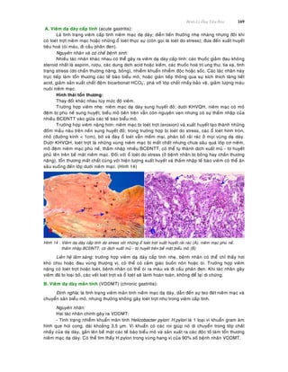 Beänh Lyù OÁng Tieâu Hoùa 169
A. Vieâm daï daøy caáp tính (acute gastritis):
Laø tình traïng vieâm caáp tính nieâm maïc daï daøy; dieãn tieán thöôøng nheï nhaøng nhöng ñoâi khi
coù loeùt trôït nieâm maïc hoaëc nhöõng oå loeùt thöïc söï (coøn goïi laø loeùt do stress); ñöa ñeán xuaát huyeát
tieâu hoaù (oùi maùu, ñi caàu phaân ñen).
Nguyeân nhaân vaø cô cheá beänh sinh:
Nhieàu taùc nhaân khaùc nhau coù theå gaây ra vieâm daï daøy caáp tính: caùc thuoác giaûm ñau khoâng
steroid nhaát laø aspirin, röôïu, caùc dung dòch acid hoaëc kieàm, caùc thuoác hoaù trò ung thö, tia xaï, tình
traïng stress (do chaán thöông naëng, boûng), nhieãm khuaån nhieãm ñoäc hoaëc soác. Caùc taùc nhaân naøy
tröïc tieáp laøm toån thöông caùc teá baøo bieåu moâ, hoaëc giaùn tieáp thoâng qua söï kích thích taêng tieát
acid, giaûm saûn xuaát chaát ñeäm bicarbonat HCO3
-
, phaù vôõ lôùp chaát nhaày baûo veä, giaûm löôïng maùu
nuoâi nieâm maïc.
Hình thaùi toån thöông:
Thay ñoåi khaùc nhau tuøy möùc ñoä vieâm.
Tröôøng hôïp vieâm nheï: nieâm maïc daï daøy sung huyeát ñoû; döôùi KHVQH, nieâm maïc coù moâ
ñeäm bò phuø neà sung huyeát, bieåu moâ beân treân vaãn coøn nguyeân veïn nhöng coù söï thaám nhaäp cuûa
nhieàu BCÑNTT vaøo giöõa caùc teá baøo bieåu moâ.
Tröôøng hôïp vieâm naëng hôn: nieâm maïc bò loeùt trôït (erosion) vaø xuaát huyeát taïo thaønh nhöõng
ñoám maàu naâu treân neàn sung huyeát ñoû; trong tröôøng hôïp bò loeùt do stress, caùc oå loeùt hình troøn,
nhoû (ñöôøng kính < 1cm), bôø vaø ñaùy oå loeùt vaãn meàm maïi, phaân boá raûi raùc ôû moïi vuøng daï daøy.
Döôùi KHVQH, loeùt trôït laø nhöõng vuøng nieâm maïc bò maát chaát nhöng chöa saâu quaù lôùp cô nieâm,
moâ ñeäm nieâm maïc phuø neà, thaám nhaäp nhieàu BCÑNTT, coù theå tuï thaønh dòch xuaát muû - tô huyeát
phuû leân treân beà maët nieâm maïc. Ñoái vôùi oå loeùt do stress (ôû beänh nhaân bò boûng hay chaán thöông
naëng), toån thöông maát chaát cuøng vôùi hieän töôïng xuaát huyeát vaø thaám nhaäp teá baøo vieâm coù theå aên
saâu xuoáng ñeán lôùp döôùi nieâm maïc. (Hình 14)
Hình 14 : Vieâm daï daøy caáp tính do stress vôùi nhöõng oå loeùt trôït xuaát huyeát raûi raùc (A), nieâm maïc phuø neà,
thaám nhaäp BCÑNTT, coù dòch xuaát muû - tô huyeát treân beà maët bieåu moâ (B)
Lieân heä laâm saøng: tröôøng hôïp vieâm daï daøy caáp tính nheï, beänh nhaân coù theå chæ thaáy hôi
khoù chòu hoaëc ñau vuøng thöôïng vò, coù theå coù caûm giaùc buoàn noân hoaëc oùi. Tröôøng hôïp vieâm
naëng coù loeùt trôït hoaëc loeùt, beänh nhaân coù theå oùi ra maùu vaø ñi caàu phaân ñen. Khi taùc nhaân gaây
vieâm ñaõ bò loaïi boû, caùc veát loeùt trôït vaø oå loeùt seõ laønh hoaøn toaøn, khoâng ñeå laïi di chöùng.
B. Vieâm daï daøy maõn tính (VDDMT) (chronic gastritis):
Ñònh nghóa: laø tình traïng vieâm maõn tính nieâm maïc daï daøy, daãn ñeán söï teo ñeùt nieâm maïc vaø
chuyeån saûn bieåu moâ, nhöng thöôøng khoâng gaây loeùt trôït nhö trong vieâm caáp tính.
Nguyeân nhaân:
Hai taùc nhaân chính gaây ra VDDMT:
- Tình traïng nhieãm khuaån maõn tính Helicobacter pylori: H.pylori laø 1 loaïi vi khuaån gram aâm
hình que hôi cong, daøi khoaûng 3,5 μm. Vi khuaån coù caùc roi giuùp noù di chuyeån trong lôùp chaát
nhaày cuûa daï daøy, gaén leân beà maët caùc teá baøo bieåu moâ vaø saûn xuaát ra caùc ñoäc toá laøm toån thöông
nieâm maïc daï daøy. Coù theå tìm thaáy H.pylori trong vuøng hang vò cuûa 90% soá beänh nhaân VDDMT.
 