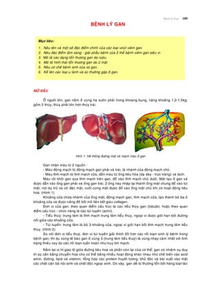 Beänh lyù Gan 189
BEÄNH LYÙ GAN
Muïc tieâu:
1. Neâu teân vaø moät soá ñaëc ñieåm chính cuûa caùc loaïi viruùt vieâm gan.
2. Neâu ñaëc ñieåm laâm saøng - giaûi phaãu beänh cuûa 5 theå beänh vieâm gan sieâu vi.
3. Moâ taû caùc daïng toån thöông gan do röôïu.
4. Moâ taû hình thaùi toån thöông gan do öù maät
5. Neâu cô cheá beänh sinh cuûa xô gan.
6. Keå teân caùc loaïi u laønh vaø aùc thöôøng gaëp ôû gan.
MÔÛ ÑAÀU
ÔÛ ngöôøi lôùn, gan naèm ôû vuøng haï söôøn phaûi trong khoang buïng, naëng khoaûng 1,2-1,5kg;
goàm 2 thuøy, thuøy phaûi lôùn hôn thuøy traùi.
Hình 1: Heä thoáng ñöôøng maät vaø maïch maùu ôû gan
Gan nhaän maùu töø 2 nguoàn :
- Maùu ñoäng maïch töø ñoäng maïch gan phaûi vaø traùi, laø nhaùnh cuûa ñoäng maïch chuû.
- Maùu tónh maïch töø tónh maïch cöûa, daãn maùu töø oáng tieâu hoùa (daï daøy - tröïc traøng) vaø laùch.
Maùu rôøi khoûi gan qua tónh maïch treân gan, ñoå vaøo tónh maïch chuû döôùi. Maät taïo ôû gan vaø
ñöôïc daãn vaøo oáng gan phaûi vaø oáng gan traùi; 2 oáng naøy nhaäp laïi thaønh oáng maät chung ñoå vaøo tuùi
maät, nôi döï tröõ vaø coâ ñaëc maät, cuoái cuøng maät ñöôïc ñoå vaøo oáng maät chuû khi coù hoaït ñoäng tieâu
hoaù. (Hình 1)
Khoaûng cöûa chöùa nhaùnh cuûa oáng maät, ñoäng maïch gan, tónh maïch cöûa, taïo thaønh boä ba ôû
khoaûng cöûa vaø ñöôïc naâng ñôõ bôûi moâ lieân keát giaøu collagen.
Ñôn vò cuûa gan, theo quan ñieåm caáu truùc laø caùc tieåu thuøy gan (lobule); hoaëc theo quan
ñieåm caáu truùc - chöùc naêng laø caùc tuùi tuyeán (acini).
- Tieåu thuøy: trung taâm laø tónh maïch trung taâm tieåu thuøy, ngoaïi vi ñöôïc giôùi haïn bôûi ñöôøng
noái giöõa caùc khoaûng cöûa.
- Tuùi tuyeán: trung taâm laø boä 3 khoaûng cöûa, ngoaïi vi giôùi haïn bôûi tónh maïch trung taâm tieåu
thuøy. (Hình 2)
So vôùi ñôn vò tieåu thuyø, ñôn vò tuùi tuyeán giaûi thích toát hôn caùc roái loaïn sinh lyù beänh trong
beänh gan; thí duï vuøng teá baøo gan ôû vuøng 3 (trung taâm tieåu thuyø) laø vuøng nhaïy caûm nhaát vôùi tình
traïng thieáu oxy do caùc roái loaïn tuaàn hoaøn nhö truïy tim maïch.
Naèm taïi vò trí giao loä giöõa ñöôøng tieâu hoaù vaø phaàn coøn laïi cuûa cô theå; gan coù nhieäm vuï duy
trì söï caân baèng chuyeån hoaù cho cô theå baèng nhieàu hoaït ñoäng khaùc nhau nhö cheá bieán caùc acid
amin, ñöôøng, lipid vaø vitamin; toång hôïp caùc protein huyeát töông; khöû ñoäc vaø baøi xuaát vaøo maät
caùc chaát caën baõ noäi sinh vaø chaát ñoäc ngoaïi sinh. Do vaäy, gan deã bò thöông toån bôûi haøng loaït taùc
 