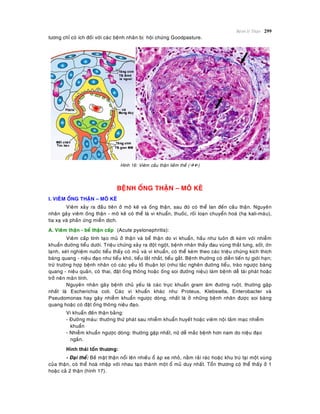 Beänh lyù Thaän 299
töông chæ coù ích ñoái vôùi caùc beänh nhaân bò hoäi chöùng Goodpasture.
Hình 16: Vieâm caàu thaän lieàm theå ()
BEÄNH OÁNG THAÄN – MOÂ KEÕ
I. VIEÂM OÁNG THAÄN – MOÂ KEÕ
Vieâm xaûy ra ñaàu tieân ôû moâ keõ vaø oáng thaän, sau ñoù coù theå lan ñeán caàu thaän. Nguyeân
nhaân gaây vieâm oáng thaän - moâ keõ coù theå laø vi khuaån, thuoác, roái loaïn chuyeån hoaù (haï kali-maùu),
tia xaï vaø phaûn öùng mieãn dòch.
A. Vieâm thaän - beå thaän caáp (Acute pyelonephritis):
Vieâm caáp tính taïo muû ôû thaän vaø beå thaän do vi khuaån, haàu nhö luoân ñi keøm vôùi nhieãm
khuaån ñöôøng tieåu döôùi. Trieäu chöùng xaûy ra ñoät ngoät, beänh nhaân thaáy ñau vuøng thaét löng, soát, ôùn
laïnh, xeùt nghieäm nöôùc tieåu thaáy coù muû vaø vi khuaån, coù theå keøm theo caùc trieäu chöùng kích thích
baøng quang - nieäu ñaïo nhö tieåu khoù, tieåu laét nhaét, tieåu gaét. Beänh thöôøng coù dieãn tieán töï giôùi haïn;
tröø tröôøng hôïp beänh nhaân coù caùc yeáu toá thuaän lôïi (nhö taéc ngheõn ñöôøng tieåu, traøo ngöôïc baøng
quang - nieäu quaûn, coù thai, ñaët oáng thoâng hoaëc oáng soi ñöôøng nieäu) laøm beänh deã taùi phaùt hoaëc
trôû neân maõn tính.
Nguyeân nhaân gaây beänh chuû yeáu laø caùc tröïc khuaån gram aâm ñöôøng ruoät, thöôøng gaëp
nhaát laø Escherichia coli. Caùc vi khuaån khaùc nhö Proteus, Klebsiella, Enterobacter vaø
Pseudomonas hay gaây nhieãm khuaån ngöôïc doøng, nhaát laø ôû nhöõng beänh nhaân ñöôïc soi baøng
quang hoaëc coù ñaët oáng thoâng nieäu ñaïo.
Vi khuaån ñeán thaän baèng:
- Ñöôøng maùu: thöôøng thöù phaùt sau nhieãm khuaån huyeát hoaëc vieâm noäi taâm maïc nhieãm
khuaån
- Nhieãm khuaån ngöôïc doøng: thöôøng gaëp nhaát, nöõ deã maéc beänh hôn nam do nieäu ñaïo
ngaén.
Hình thaùi toån thöông:
- Ñaïi theå: Beà maët thaän noåi leân nhieàu oå aùp xe nhoû, naèm raûi raùc hoaëc khu truù taïi moät vuøng
cuûa thaän, coù theå hoaø nhaäp vôùi nhau taïo thaønh moät oå muû duy nhaát. Toån thöông coù theå thaáy ôû 1
hoaëc caû 2 thaän (hình 17).
 