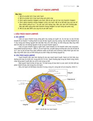 Beänh lyù haïch limphoâ 311
BEÄNH LYÙ HAÏCH LIMPHOÂ
Muïc tieâu:
1. Moâ taû vaø phaân tích 3 loaïi vieâm haïch.
2. Moâ taû vaø phaân tích 4 loaïi haïch taêng saûn phaûn öùng.
3. Ñònh nghóa limphoâm Hodgkin cuûa haïch. Moâ taû caùc tyùp moâ hoïc cuûa limphoâm Hodgkin.
4. Ñònh nghóa limphoâm khoâng Hodgkin (LKH) cuûa haïch. Moâ taû sô ñoà bieät hoùa cuûa caùc teá
baøo limphoâ doøng B vaø T vaø caùc loaïi LKH töông öùng. Neâu caùc loaïi LKH thöôøng gaëp.
Neâu ñaëc ñieåm giuùp phaân bieät limphoâm khoâng Hodgkin vaø haïch taêng saûn phaûn öùng.
5. Moâ taû caùc ñaëc ñieåm cuûa ung thö di caên ñeán haïch.
i. CAÁU TRUÙC HAÏCH LIMPHOÂ
A. HEÄ LIMPHOÂ
- Caùc cô quan limphoâ trung öông goàm tuûy xöông vaø tuyeán öùc, laø nôi taïo ra caùc teá baøo
limphoâ B vaø limphoâ T tröôûng thaønh töø caùc teá baøo nguoàn cuûa tuûy xöông. Caùc teá baøo limphoâ B vaø
T naøy mang caùc khaùng nguyeân beà maët ñaëc hieäu cho moãi doøng, coù khaû naêng taïo ñaùp öùng mieãn
dòch khi tieáp xuùc vôùi khaùng nguyeân ôû caùc cô quan limphoâ ngoaïi vi.
- Caùc cô quan limphoâ ngoaïi vi goàm laùch, haïch limphoâ vaø moâ limphoâ nieâm maïc (mucosa -
associated lymphoid tissue – MALT), laø nôi hoaït hoaù, chuyeån daïng vaø taêng saûn cuûa caùc teá baøo B
vaø T, taïo ra caùc teá baøo thöïc hieän (effector cells) vaø teá baøo nhôù (memory cells) tham gia vaøo caùc
ñaùp öùng mieãn dòch cuûa cô theå choáng laïi söï xaâm nhaäp cuûa khaùng nguyeân laï.
B. CAÁU TRUÙC HAÏCH LIMPHOÂ
- Haïch limphoâ naèm doïc treân ñöôøng ñi cuûa caùc maïch baïch huyeát. Haïch coù hình baàu duïc,
ñöôøng kính doïc töø 2-20 mm, trung bình laø 15 mm. Haïch thöôøng taäp trung laïi thaønh töøng nhoùm,
nhaän doøng baïch huyeát daãn löu veà töø moät vuøng cô theå.
- Bao quanh haïch laø lôùp voû bao sôïi. Töø maët trong voû bao taùch ra caùc vaùch moâ lieân keát sôïi,
phaân nhaùnh ñi saâu vaøo trong nhu moâ haïch.
- Nhu moâ haïch coù theå ñöôïc chia laøm 3 vuøng: vuøng voû, vuøng caän voû vaø vuøng tuûy. (Hình 1)
Hình 1: Sô ñoà caáu truùc haïch limphoâ.
 
