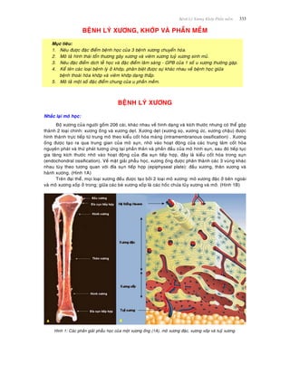 Beänh Lyù Xöông Khôùp Phaàn meàm 333
BEÄNH LYÙ XÖÔNG, KHÔÙP VAØ PHAÀN MEÀM
Muïc tieâu:
1. Neâu ñöôïc ñaëc ñieåm beänh hoïc cuûa 3 beänh xöông chuyeån hoùa.
2. Moâ taû hình thaùi toån thöông gaõy xöông vaø vieâm xöông tuyû xöông sinh muû.
3. Neâu ñaëc ñieåm dòch teã hoïc vaø ñaëc ñieåm laâm saøng - GPB cuûa 1 soá u xöông thöôøng gaëp.
4. Keå teân caùc loaïi beänh lyù ôû khôùp, phaân bieät ñöôïc söï khaùc nhau veà beänh hoïc giöõa
beänh thoaùi hoùa khôùp vaø vieâm khôùp daïng thaáp.
5. Moâ taû moät soá ñaëc ñieåm chung cuûa u phaàn meàm.
BEÄNH LYÙ XÖÔNG
Nhaéc laïi moâ hoïc:
Boä xöông cuûa ngöôøi goàm 206 caùi, khaùc nhau veà hình daïng vaø kích thöôùc nhöng coù theå goäp
thaønh 2 loaïi chính: xöông oáng vaø xöông deït. Xöông deït (xöông soï, xöông öùc, xöông chaäu) ñöôïc
hình thaønh tröïc tieáp töø trung moâ theo kieåu coát hoùa maøng (intramembranous ossification) . Xöông
oáng ñöôïc taïo ra qua trung gian cuûa moâ suïn, nhôø vaøo hoaït ñoäng cuûa caùc trung taâm coát hoùa
nguyeân phaùt vaø thöù phaùt töông öùng taïi phaàn thaân vaø phaàn ñaàu cuûa moâ hình suïn, sau ñoù tieáp tuïc
gia taêng kích thöôùc nhôø vaøo hoaït ñoäng cuûa ñóa suïn tieáp hôïp, ñaây laø kieåu coát hoùa trong suïn
(endochondral ossification). Veà maët giaûi phaãu hoïc, xöông oáng ñöôïc phaân thaønh caùc 3 vuøng khaùc
nhau tuøy theo töông quan vôùi ñóa suïn tieáp hôïp (epiphyseal plate): ñaàu xöông, thaân xöông vaø
haønh xöông. (Hình 1A)
Treân ñaïi theå, moïi loaïi xöông ñeàu ñöôïc taïo bôûi 2 loaïi moâ xöông: moâ xöông ñaëc ôû beân ngoaøi
vaø moâ xöông xoáp ôû trong; giöõa caùc beø xöông xoáp laø caùc hoác chöùa tuûy xöông vaø môõ. (Hình 1B)
Hình 1: Caùc phaàn giaûi phaãu hoïc cuûa moät xöông oáng (1A), moâ xöông ñaëc, xöông xoáp vaø tuyû xöông.
 