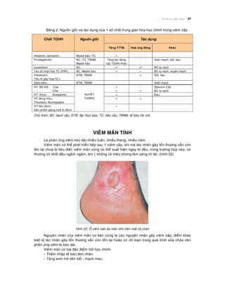 Vieâm vaø söûa chöõa 45
Baûng 2: Nguoàn goác vaø taùc duïng cuûa 1 soá chaát trung gian hoùa hoïc chính trong vieâm caáp
Taùc duïngChaát TGHH Nguoàn goác
Taêng TTTM Hoaù öùng ñoäng Khaùc
Histamin, seretonin Mastoâ baøo, TC + -
Prostaglandin BC, TC, TBNM,
Mastoâ baøo
Taêng taùc ñoäng
caùc TGHH khaùc
- Giaõn maïch, soát, ñau
Leukotrien BC +/- +/- BC tuï vaùch
Yeùu toá hoaït hoaù TC (PAF) BC, Mastoâ baøo + + BC tuï vaùch, xuyeân maïch
Interleukin,
Yeáu toá gaây hoaïi töû u
ÑTB, TBNM - + Soát, ñau
Oxid nitric ÑTB, TBNM Giaõn maïch
HT. Boå theå: C3a
C5a
+
+
-
+
Opsonin C3b
BC tuï vaùch
HT. Kinin: Bradykinin + - Ñau
HT ñoâng maùu:
Thrombin, fibrinopeptid
+ +
HT tieâu fibrin:
Saûn phaåm giaùng hoaù tuø fibrin
HUYEÁT
TÖÔNG
+
Chuù thích: BC: baïch caàu; ÑTB: ñaïi thöïc baøo; TC: tieåu caàu; TBNM: teá baøo noäi moâ.
VIEÂM MAÕN TÍNH
Laø phaûn öùng vieâm keùo daøi nhieàu tuaàn, nhieàu thaùng, nhieàu naêm.
Vieâm maõn coù theå phaùt trieån tieáp sau 1 vieâm caáp, khi maø taùc nhaân gaây toån thöông vaãn coøn
toàn taïi chöa bò tieâu dieät; vieâm maõn cuõng coù theå xuaát hieän ngay töø ñaàu, trong tröôøng hôïp naøy, noù
thöôøng coù khôûi ñaàu ngaám ngaàm, aâm æ, khoâng coù trieäu chöùng laâm saøng roõ reät. (hình 22)
Hình 22: OÅ vieâm loeùt da maõn tính treân maét caù chaân
Nguyeân nhaân cuûa vieâm maõn cô baûn cuõng laø caùc nguyeân nhaân gaây vieâm caáp; ñieåm khaùc
bieät laø taùc nhaân gaây toån thöông vaãn coøn toàn taïi hoaëc coù roái loaïn trong quaù trình söûa chöõa neân
phaûn öùng vieâm bò keùo daøi.
Vieâm maõn coù hai ñaëc ñieåm moâ hoïc chính:
- Thaám nhaäp teá baøo ñôn nhaân.
- Taêng sinh moâ lieân keát - maïch maùu.
 