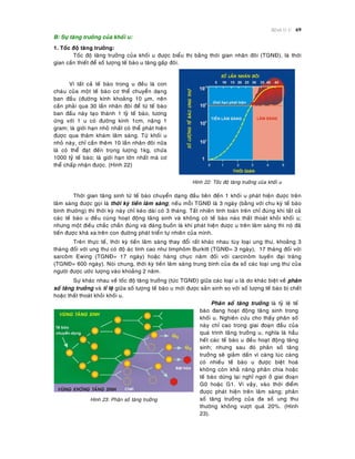 Beänh lyù U 69
B/ Söï taêng tröôûng cuûa khoái u:
1. Toác ñoä taêng tröôûng:
Toác ñoä taêng tröôûng cuûa khoái u ñöôïc bieåu thò baèng thôøi gian nhaân ñoâi (TGNÑ), laø thôøi
gian caàn thieát ñeå soá löôïng teá baøo u taêng gaáp ñoâi.
Vì taát caû teá baøo trong u ñeàu laø con
chaùu cuûa moät teá baøo cô theå chuyeån daïng
ban ñaàu (ñöôøng kính khoaûng 10 µm, neân
caàn phaûi qua 30 laàn nhaân ñoâi ñeå töø teá baøo
ban ñaàu naøy taïo thaønh 1 tyû teá baøo, töông
öùng vôùi 1 u coù ñöôøng kính 1cm, naëng 1
gram; laø giôùi haïn nhoû nhaát coù theå phaùt hieän
ñöôïc qua thaêm khaùm laâm saøng. Töø khoái u
nhoû naøy, chæ caàn theâm 10 laàn nhaân ñoâi nöõa
laø coù theå ñaït ñeán troïng löôïng 1kg, chöùa
1000 tyû teá baøo; laø giôùi haïn lôùn nhaát maø cô
theå chaáp nhaän ñöôïc. (Hình 22)
Hình 22: Toác ñoä taêng tröôûng cuûa khoái u
Thôøi gian taêng sinh töø teá baøo chuyeån daïng ñaàu tieân ñeán 1 khoái u phaùt hieän ñöôïc treân
laâm saøng ñöôïc goïi laø thôøi kyø tieàn laâm saøng; neáu moãi TGNÑ laø 3 ngaøy (baèng vôùi chu kyø teá baøo
bình thöôøng) thì thôøi kyø naøy chæ keùo daøi coù 3 thaùng. Taát nhieân tính toaùn treân chæ ñuùng khi taát caû
caùc teá baøo u ñeàu cuøng hoaït ñoäng taêng sinh vaø khoâng coù teá baøo naøo thaát thoaùt khoûi khoái u;
nhöng moät ñieàu chaéc chaén ñuùng vaø ñaùng buoàn laø khi phaùt hieän ñöôïc u treân laâm saøng thì noù ñaõ
tieán ñöôïc khaù xa treân con ñöôøng phaùt trieån töï nhieân cuûa mình.
Treân thöïc teá, thôøi kyø tieàn laâm saøng thay ñoåi raát khaùc nhau tuøy loaïi ung thö, khoaûng 3
thaùng ñoái vôùi ung thö coù ñoä aùc tính cao nhö limphoâm Burkitt (TGNÑ= 3 ngaøy), 17 thaùng ñoái vôùi
sarcoâm Ewing (TGNÑ= 17 ngaøy) hoaëc haøng chuïc naêm ñoái vôùi carcinoâm tuyeán ñaïi traøng
(TGNÑ= 600 ngaøy). Noùi chung, thôøi kyø tieàn laâm saøng trung bình cuûa ña soá caùc loaïi ung thö cuûa
ngöôøi ñöôïc öôùc löôïng vaøo khoaûng 2 naêm.
Söï khaùc nhau veà toác ñoä taêng tröôûng (töùc TGNÑ) giöõa caùc loaïi u laø do khaùc bieät veà phaân
soá taêng tröôûng vaø tæ leä giöõa soá löôïng teá baøo u môùi ñöôïc saûn sinh so vôùi soá löôïng teá baøo bò cheát
hoaëc thaát thoaùt khoûi khoái u.
Hình 23: Phaân soá taêng tröôûng
Phaân soá taêng tröôûng laø tyû leä teá
baøo ñang hoaït ñoäng taêng sinh trong
khoái u. Nghieân cöùu cho thaáy phaân soá
naøy chæ cao trong giai ñoaïn ñaàu cuûa
quaù trình taêng tröôûng u, nghóa laø haàu
heát caùc teá baøo u ñeàu hoaït ñoäng taêng
sinh; nhöng sau ñoù phaân soá taêng
tröôûng seõ giaûm daàn vì caøng luùc caøng
coù nhieàu teá baøo u ñöôïc bieät hoaù
khoâng coøn khaû naêng phaân chia hoaëc
teá baøo döøng laïi nghæ ngôi ôû giai ñoaïn
G0 hoaëc G1. Vì vaäy, vaøo thôøi ñieåm
ñöôïc phaùt hieän treân laâm saøng; phaân
soá taêng tröôûng cuûa ña soá ung thö
thöôøng khoâng vöôït quaù 20%. (Hình
23).
 