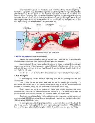Beänh lyù U 76
Cô cheá cuûa hieän töôïng di caên theo ñöôøng baïch huyeát hoaëc ñöôøng maùu thì cuõng töông
töï nhö hieän töôïng xaâm nhaäp. Caùc teá baøo ung thö di chuyeån trong chaát neàn ngoaïi baøo phaûi ñeán
gaén keát vaøo maøng ñaùy bao quanh caùc tónh maïch vaø maïch baïch huyeát roài phaù huûy noù ñeå chui
vaøo loøng maïch. Trong loøng maïch, ñaïi ña soá caùc teá baøo ung thö di chuyeån rieâng reõ nhöng cuõng
coù theå keát dính vôùi caùc tieåu caàu vaø baïch caàu taïo thaønh moät cuïc huyeát taéc ung thö. Khi di chuyeån
ñeán vuøng thích hôïp, teá baøo ung thö keát dính leân teá baøo noäi moâ, phaù huûy maøng ñaùy, chui ra khoûi
loøng maïch vaø taêng sinh thaønh moät khoái u thöù phaùt. (Hình 30)
Hình 30: Cô cheá cuûa hieän töôïng di caên
V. Dòch teã hoïc ung thö (cancer epidemiology):
Laø moân hoïc nghieân cöùu veà söï phaân boá ung thö trong 1 quaàn theå daân cö vaø nhöõng yeáu
toá coù lieân quan nhö tuoåi taùc, ngheà nghieäp, chuûng toäc, vaên hoaù, taäp quaùn...
Nghieân cöùu dòch teã ung thö cung caáp nhöõng thoâng tin raát giaù trò, goùp phaàn laøm saùng toû
nguyeân nhaân sinh ung, thí duï nhö qua ñieàu tra dòch teã hoïc coù theå chöùng minh moái lieân heä nhaân
quaû giöõa thoùi quen huùt thuoác laù vaø ung thö phoåi, xuaát ñoä ung thö phoåi gia taêng tæ leä thuaän vôùi soá
ñieáu thuoác huùt moãi ngaøy.
Sau ñaây laø 1 soá yeáu toá thöôøng ñöôïc khaûo saùt trong caùc nghieân cöùu dòch teã hoïc ung thö.
1. Xuaát ñoä ung thö:
Laø soá tröôøng hôïp ung thö môùi xuaát hieän trong quaàn theå daân cö haøng naêm, tính treân
100.000 daân.
Theo Toå chöùc Y teá theá giôùi (WHO), naêm 2008 öôùc tính treân toaøn theá giôùi coù khoaûng 12,5
trieäu tröôøng hôïp ung thö môùi vaø gaàn 7,5 trieäu tröôøng hôïp töû vong do ung thö; döï ñoaùn ñeán 2020
moãi naêm seõ coù 16 trieäu tröôøng hôïp ung thö môùi vaø 10 trieäu tröôøng hôïp töû vong.
ÔÛ Myõ, xuaát ñoä ung thö laø vaøo khoaûng 523 tröôøng hôïp/ 100.000 daân/ naêm; öôùc löôïng
trong naêm 2012 coù 1.638.910 trieäu tröôøng hôïp ung thö môùi vaø 577.190 tröôøng hôïp töû vong do
ung thö. Phí toån daønh cho ung thö taïi Myõ vaøo naêm 2007 ñaõ leân ñeán 226 tyû ñoâ la.
ÔÛ nöôùc ta, theo soá lieäu cuûa Boä Y teá (2002) thì moãi naêm coù khoaûng 150.000 tröôøng hôïp
ung thö môùi vaø 100.000 tröôøng hôïp töû vong; töông öùng vôùi 1 xuaát ñoä ung thö vaøo khoaûng 180 -
190 tröôøng hôïp/100.000 daân/ naêm.
So saùnh giöõa caùc nuôùc coâng nghieäp phaùt trieån vaø caùc nöôùc ñang phaùt trieån veà xuaát ñoä
cuûa 10 loaïi ung thö thöôøng gaëp nhaát (Toå chöùc nghieân cöùu ung thö quoác teá – IARC, 2008), ta
thaáy coù söï lieân quan giöõa moät soá loaïi ung thö vôùi trình ñoä phaùt trieån cuûa caùc quoác gia. Thí duï:
 