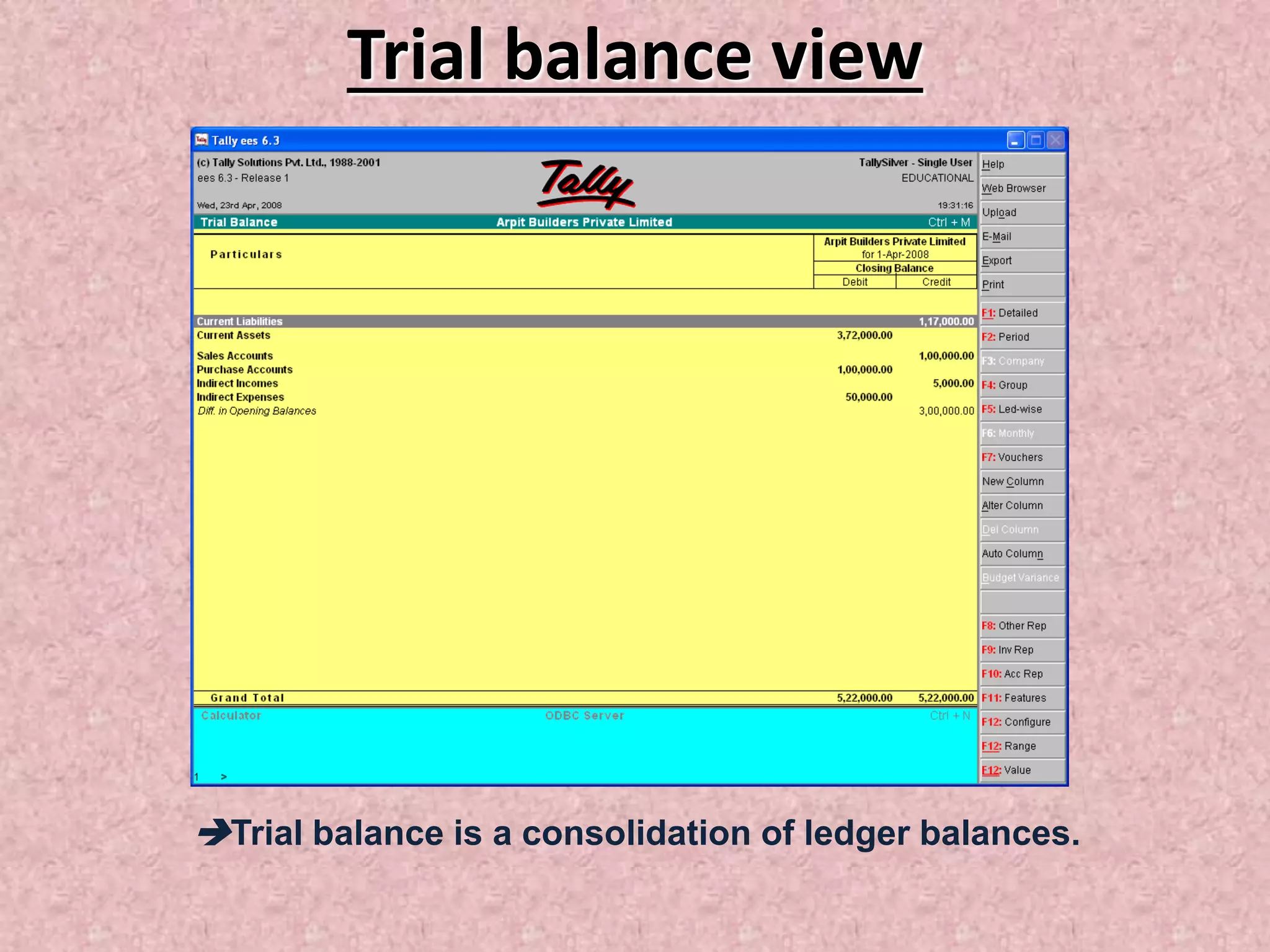 Trial balance view
Trial balance is a consolidation of ledger balances.
 