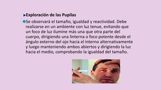 Exploración de las Pupilas
Se observará el tamaño, igualdad y reactividad. Debe
realizarse en un ambiente con luz tenue, evitando que
un foco de luz ilumine más una que otra parte del
cuerpo, dirigiendo una linterna o foco potente desde el
ángulo externo del ojo hacia el interno alternativamente
y luego manteniendo ambos abiertos y dirigiendo la luz
hacia el medio, comprobando la igualdad del tamaño.
 