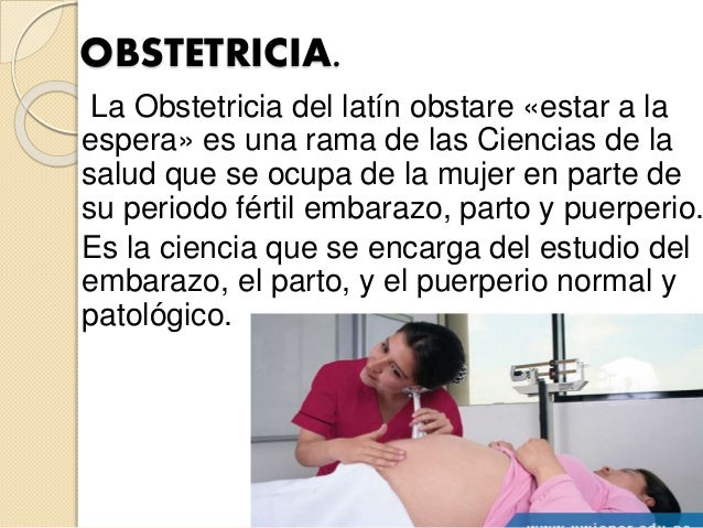 ¿Qué Es El Sitio De Obstetricia – BNITEL