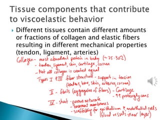  Different tissues contain different amounts
or fractions of collagen and elastic fibers
resulting in different mechanical properties
(tendon, ligament, arteries)
 