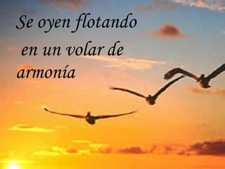 Se oyen flotando en un volar de armonía 