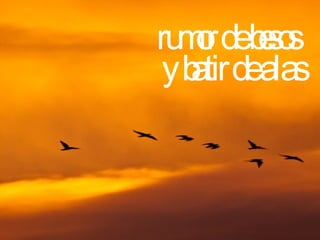 rumor de besos  y batir de alas 