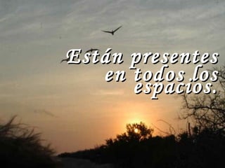 Están presentes  en todos los espacios. 