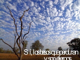 Sí, los besos que perduran y son eternos… 