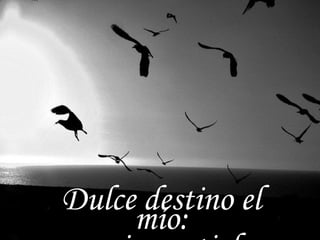 Dulce destino el mío: morir por ti de amor  