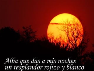 Alba que das a mis noches un resplandor rojizo y blanco 