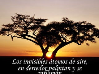 Los invisibles átomos de aire, en derredor palpitan y se inflaman 