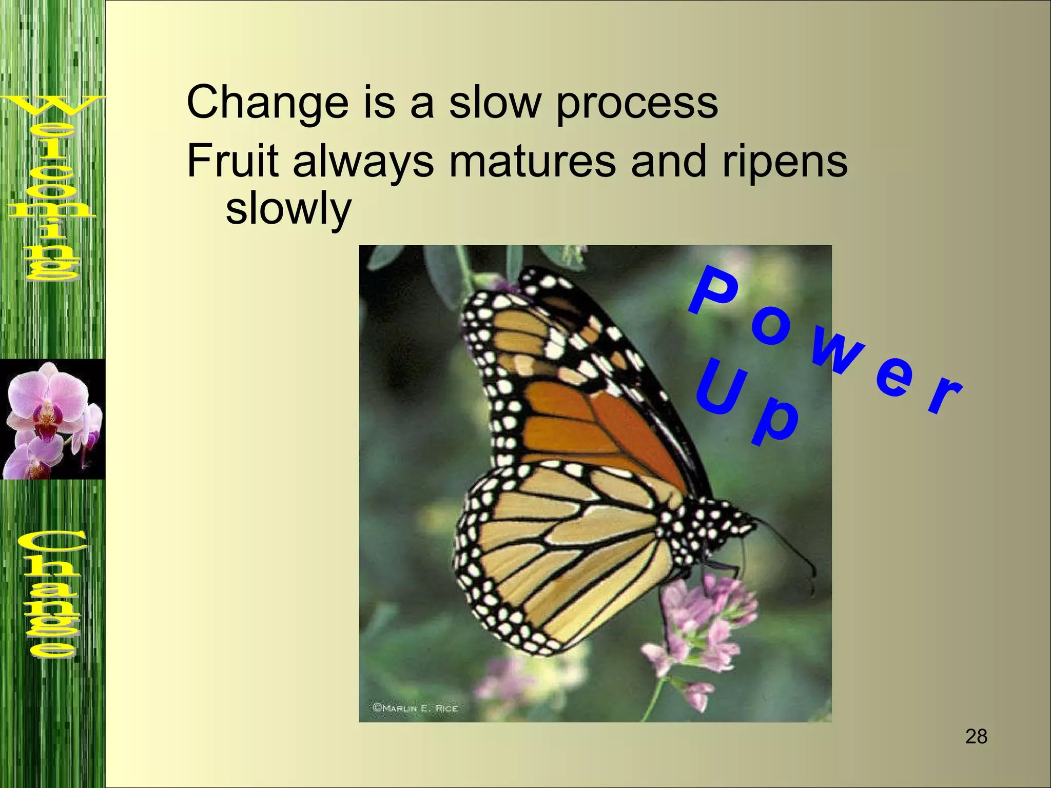 Change is a slow process Fruit always matures and ripens slowly P o w e r  U p Welcoming  Change 