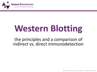 © Innova Biosciences ltd. 2013. All rights reserved
Western Blotting
the principles and a comparison of
indirect vs. direct immunodetection
 