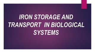 IRON STORAGE AND
TRANSPORT IN BIOLOGICAL
SYSTEMS
 