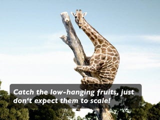 Catch the low-hanging fruits, just
don‘t expect them to scale!
 