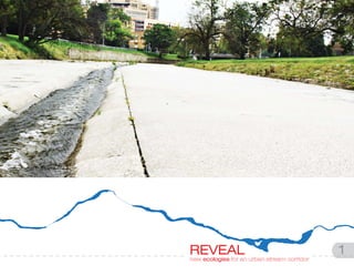 REVEAL urban stream corridor   1
new ecologies for an
 