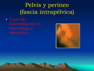Pelvis y perineo
(fascia intrapélvica)
• Curso de
especialización en
Ginecología y
obstetricia.
 