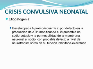 CRISIS CONVULSIVA NEONATAL
Etiopatogenia:
Encefalopatía hipóxico-isquémica: por defecto en la
producción de ATP, modificando el intercambio de
sodio-potasio y la permeabilidad de la membrana
neuronal al sodio, con probable defecto a nivel de
neurotransmisores en su función inhibitoria-excitatoria.
 