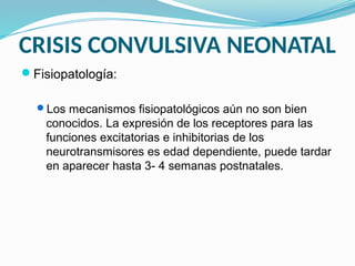 CRISIS CONVULSIVA NEONATAL
Fisiopatología:
Los mecanismos fisiopatológicos aún no son bien
conocidos. La expresión de los receptores para las
funciones excitatorias e inhibitorias de los
neurotransmisores es edad dependiente, puede tardar
en aparecer hasta 3- 4 semanas postnatales.
 